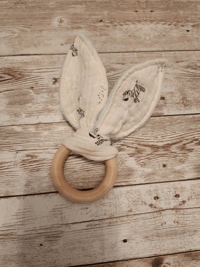 Anneau dentition