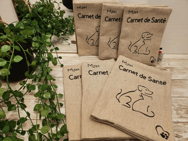Protège carnet de santé