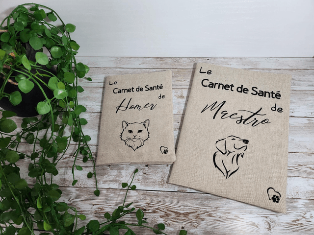 Protège carnet de santé